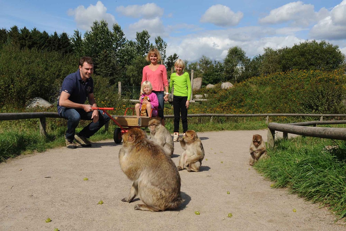 Givskud Løveparken Zootopia